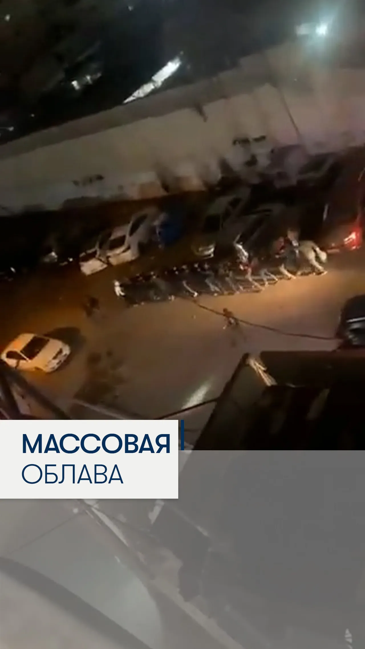 Израильские военные устроили облаву на палестинских рабочих на Западном берегу